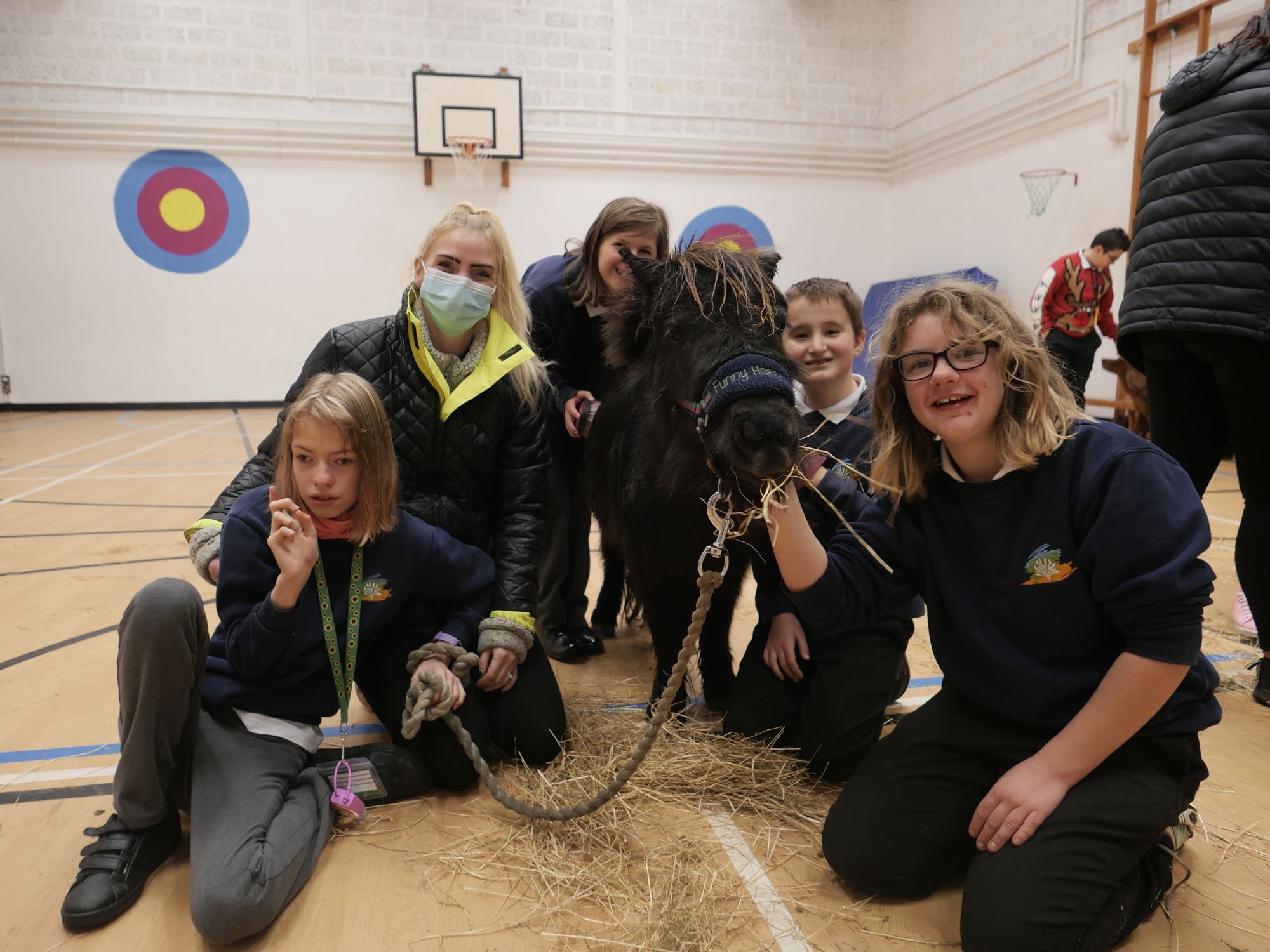 Miniature ponies makes special visit to school in Truro