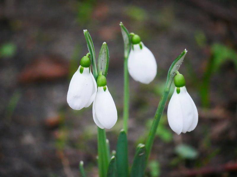 Scene By You Southport - Feb 3: Pictures of West Lancashire captured by local photographers