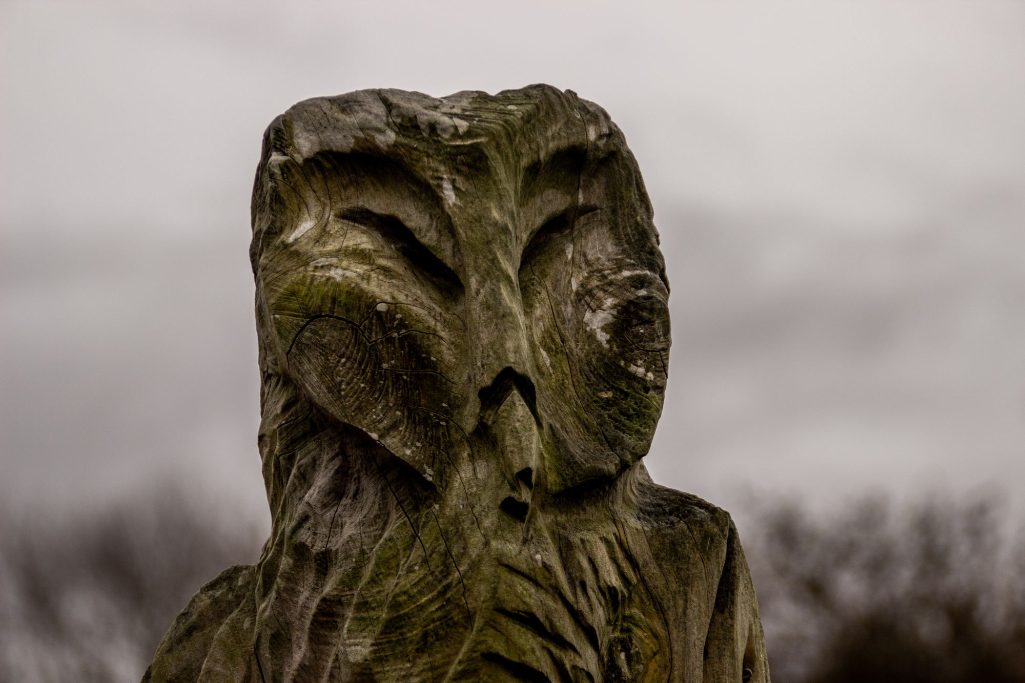 Scene By You: Photographs taken in Cheshire