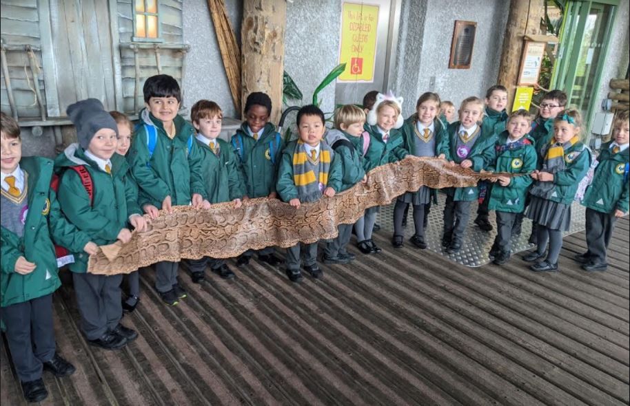 Chester pupils enjoy an educational trip to the zoo