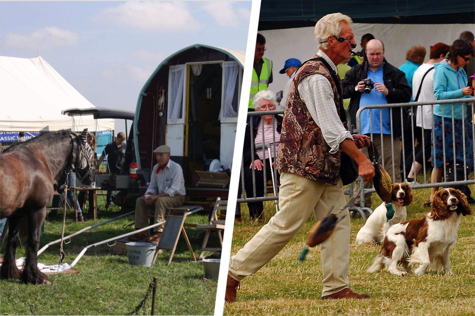 75th Eccleshall Show will go ahead this year