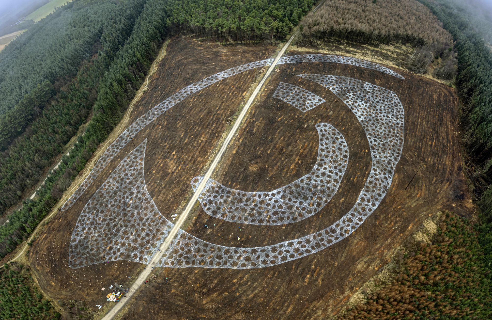 Giant forest eye will inspire youngsters to address climate change, say artists