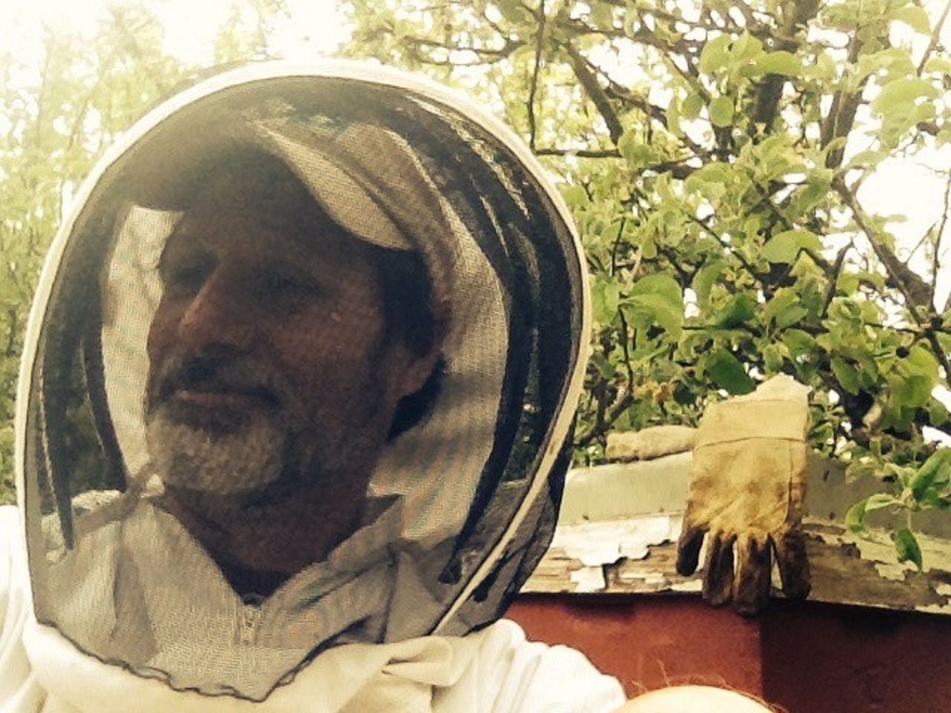 Beekeeper expects thousands of bees will die after storm blows hives over
