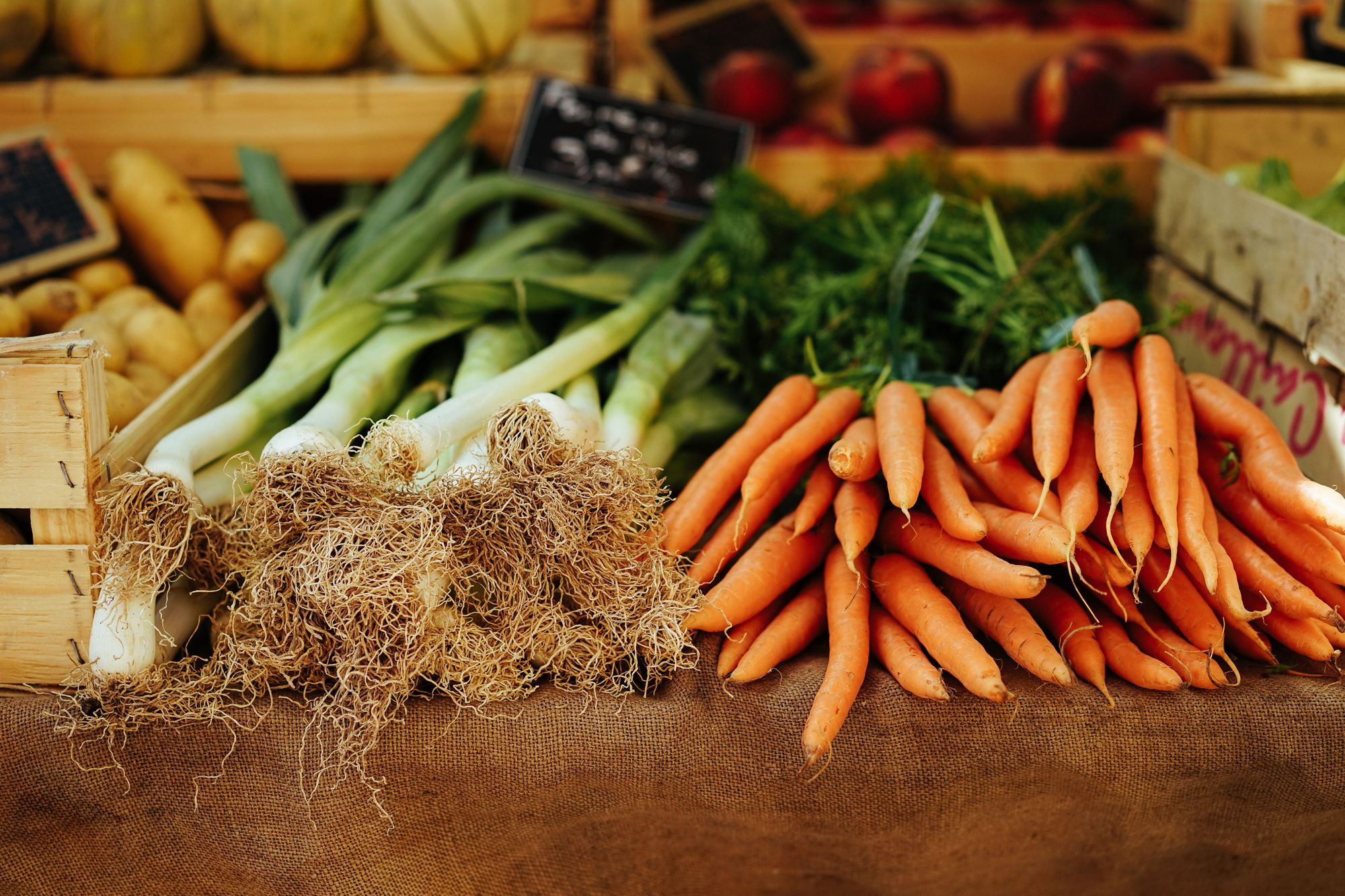 Thanet cooking course improves family finances and wellbeing