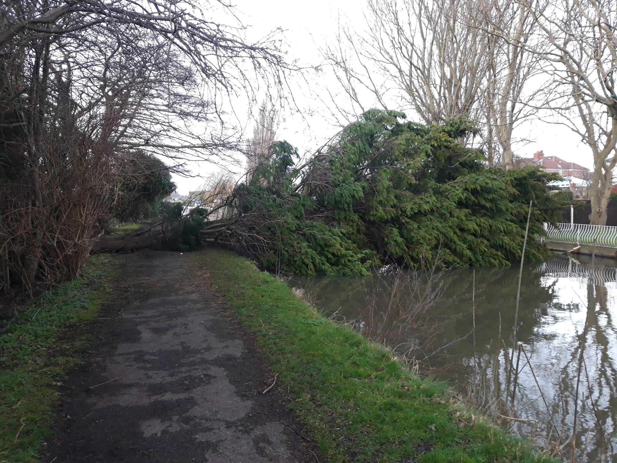 Merseyside Angling: Who said you can’t catch fish in winter?