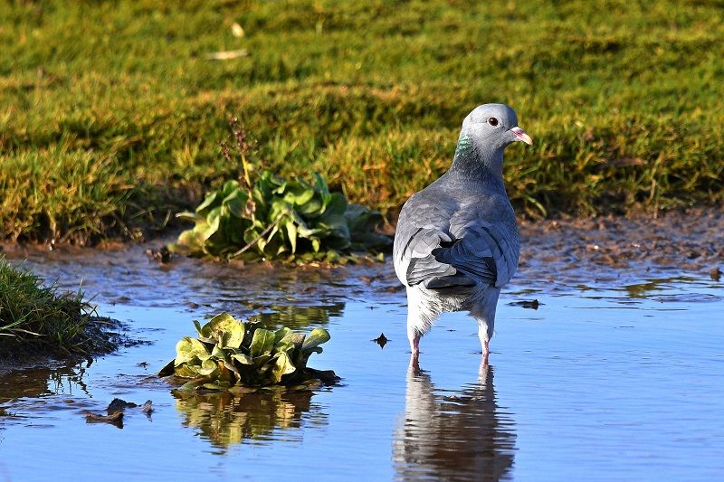 Scene By You Ormskirk - Feb 10: Pictures of West Lancashire captured by local photographers