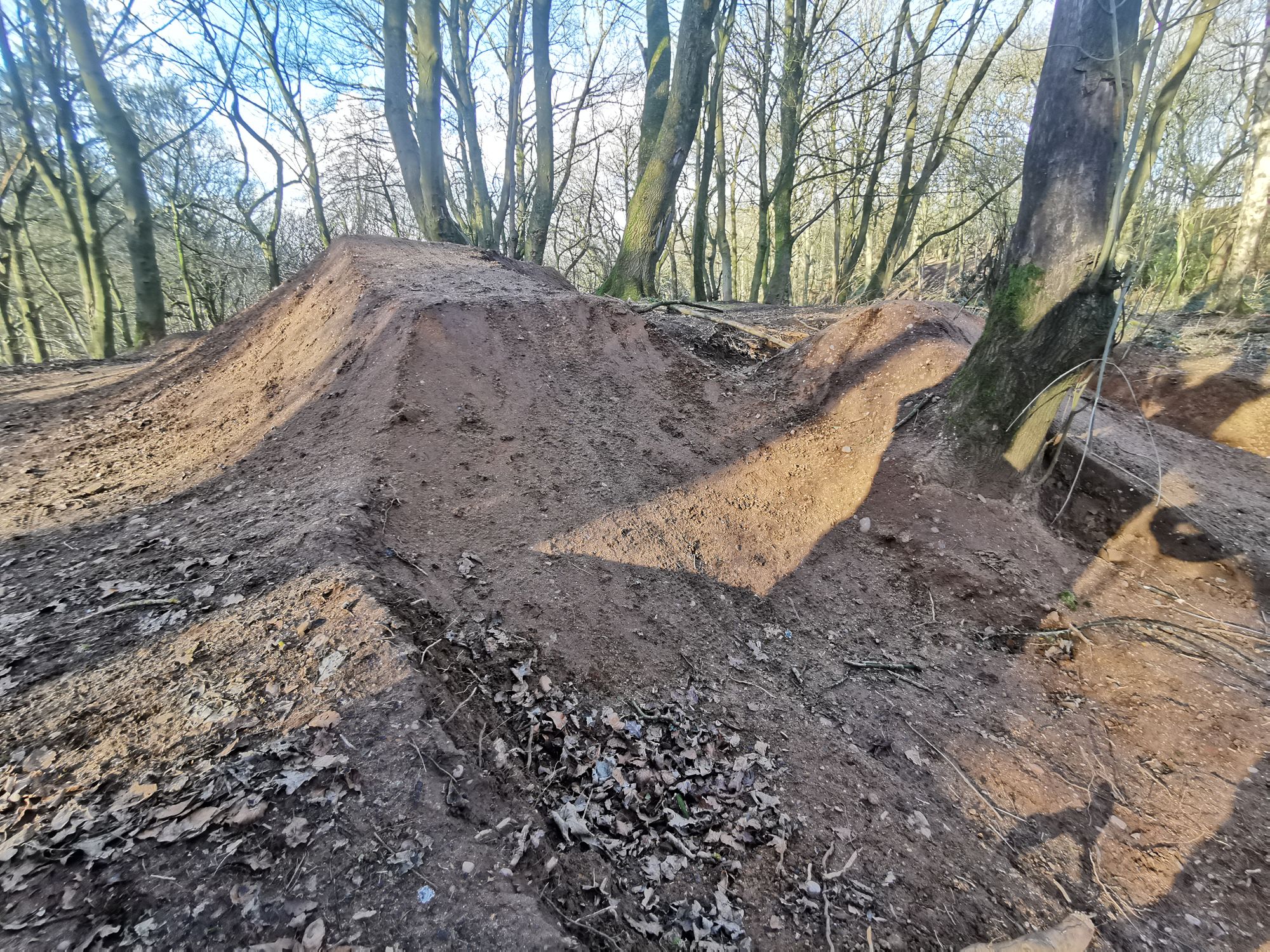 Probe into giant ramps built by bikers in Bradley Wood
