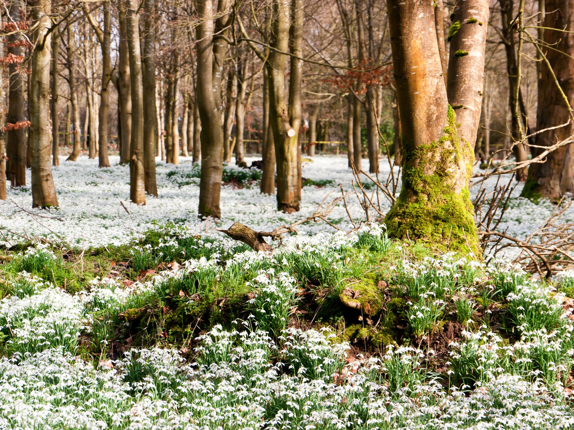 Leicestershire County Council appeals for new green-fingered volunteers