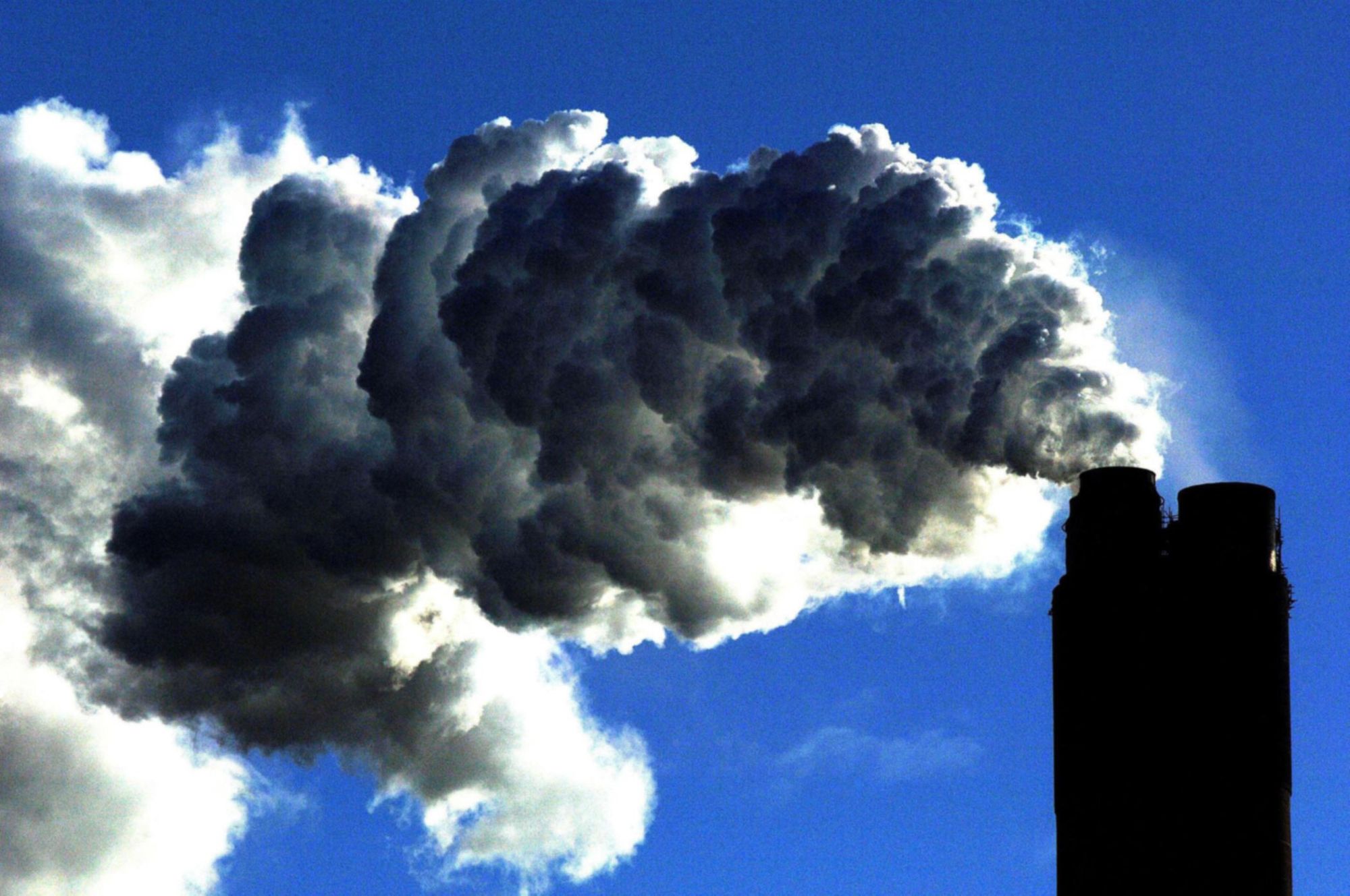 ActionFunder: 2030hub offers advice sessions for organisations keen to find their first net-zero steps