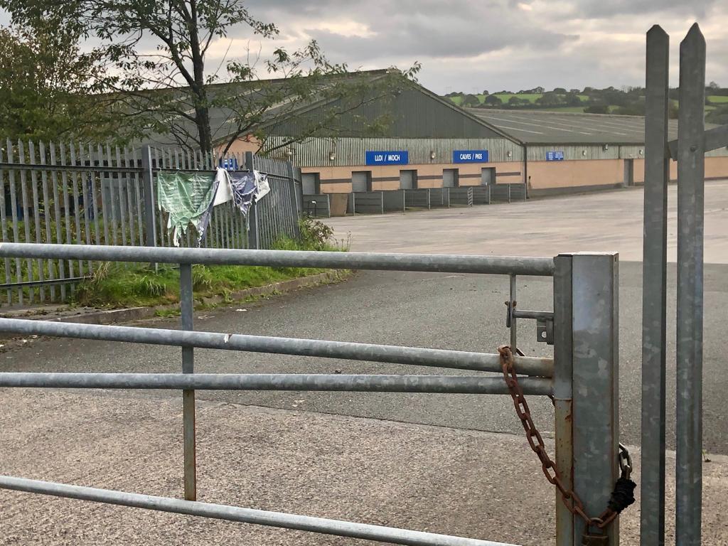 Carmarthen livestock mart to reopen next month