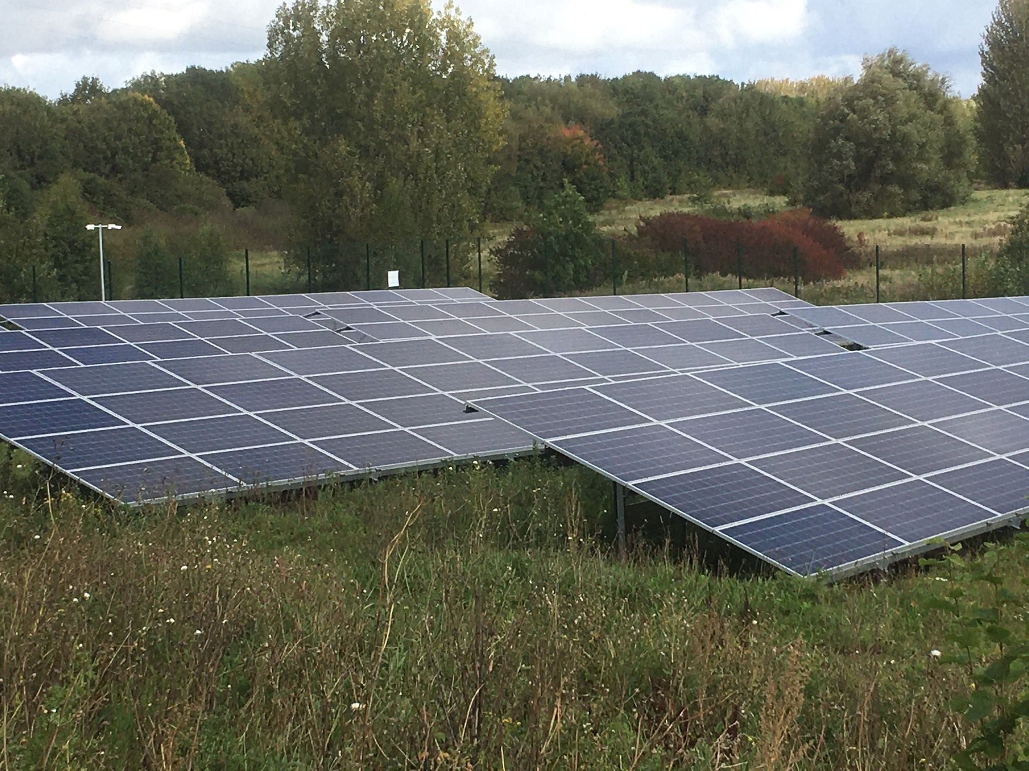 Climate not-for-profit gives Halton council a zero rating
