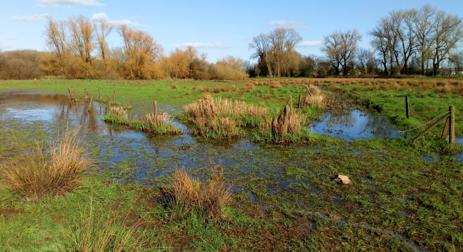 New group can bring ideas by the dozen to tackle climate change in Stafford