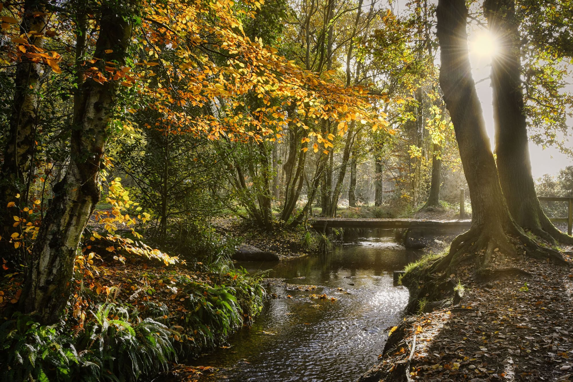 10 Things To Do In Half Term In Aldershot Farnborough And Fleet