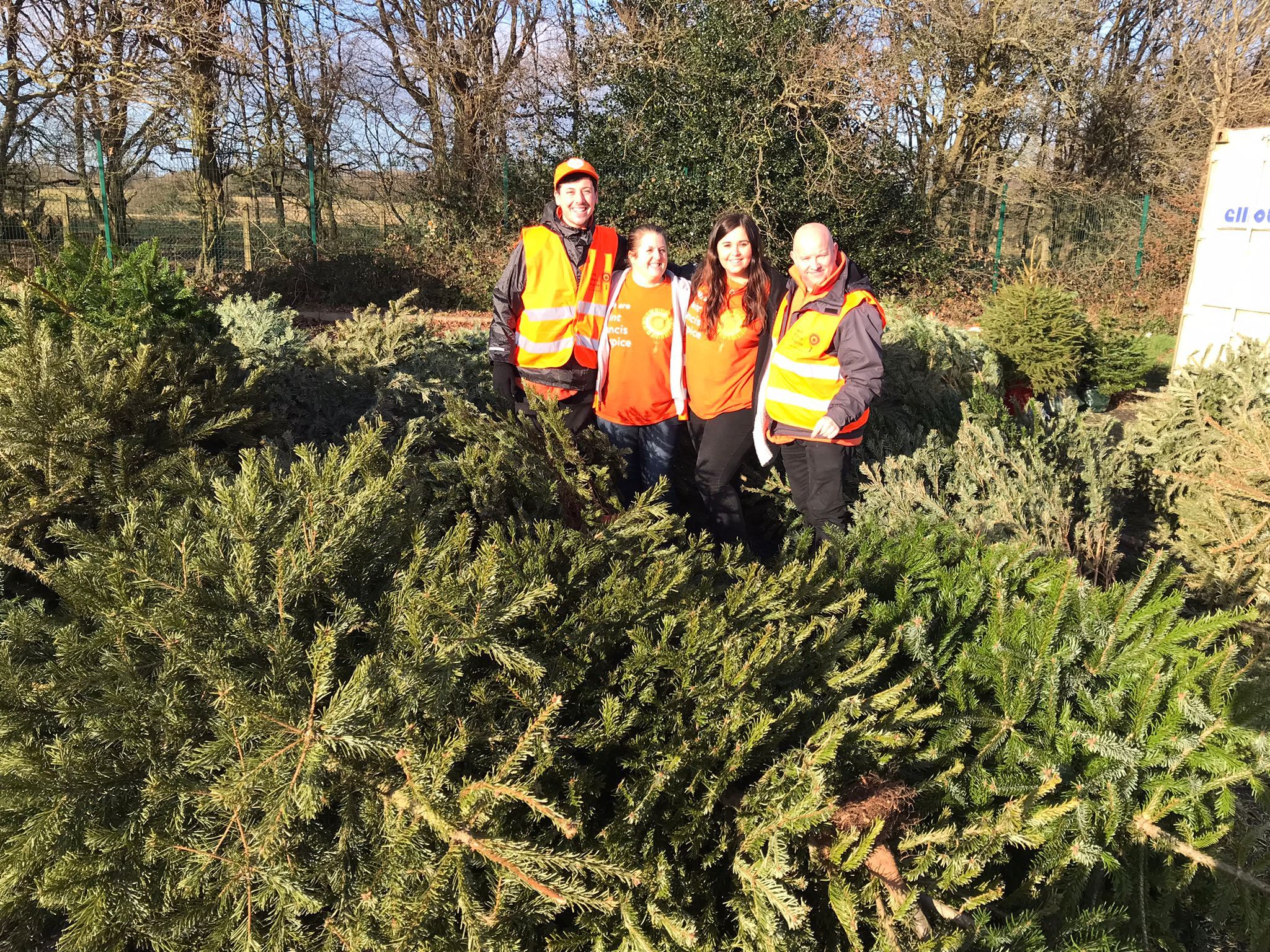 Recycled Christmas trees raise more than £16k for Saint Francis Hospice