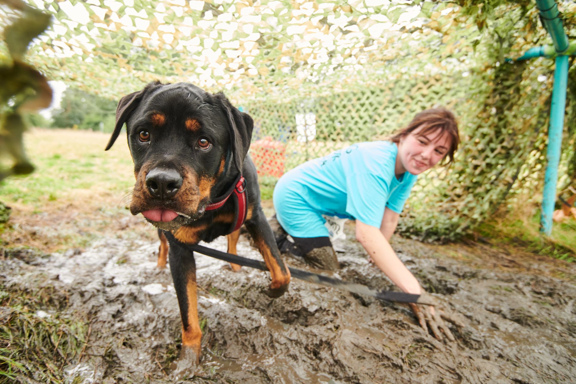 Battersea's Muddy Dog Challenge comes to the New Forest