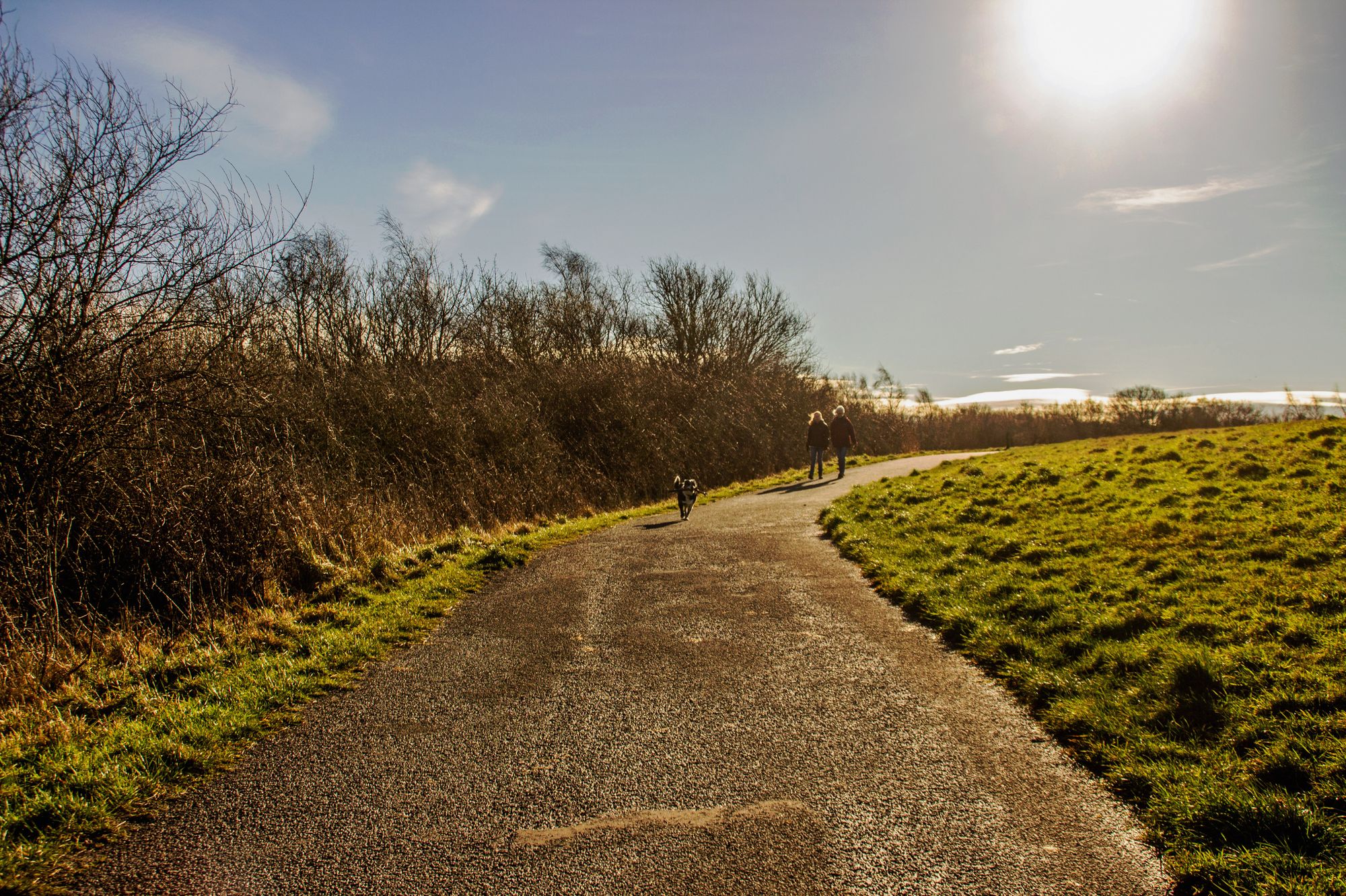 Scene By You: Cheshire through  different lenses