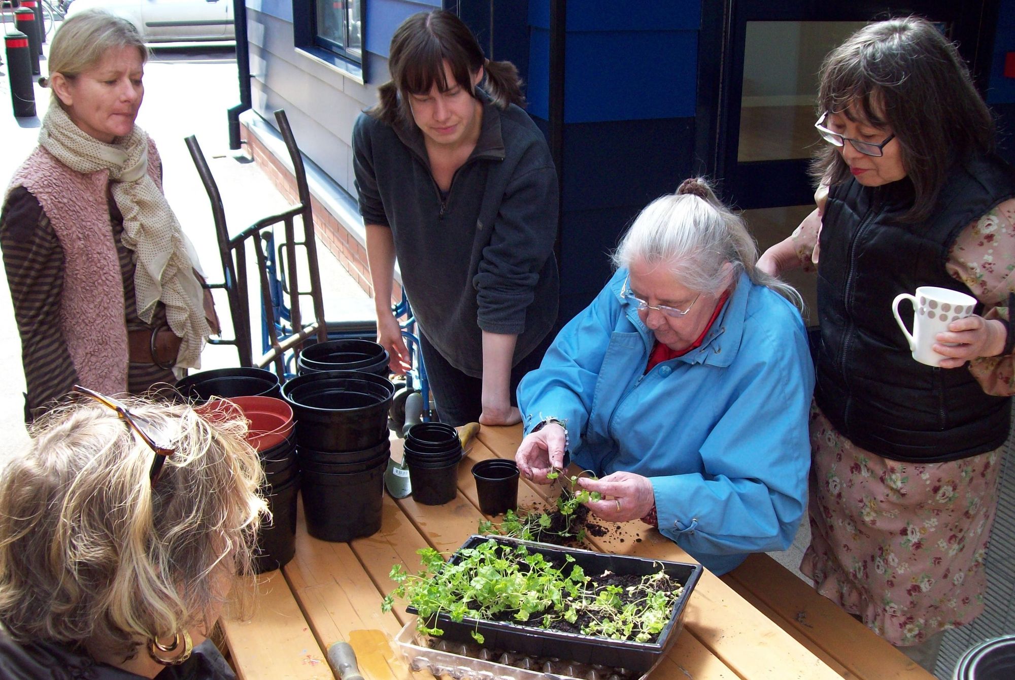 St Werburgh's community project connects local people through food and gardening
