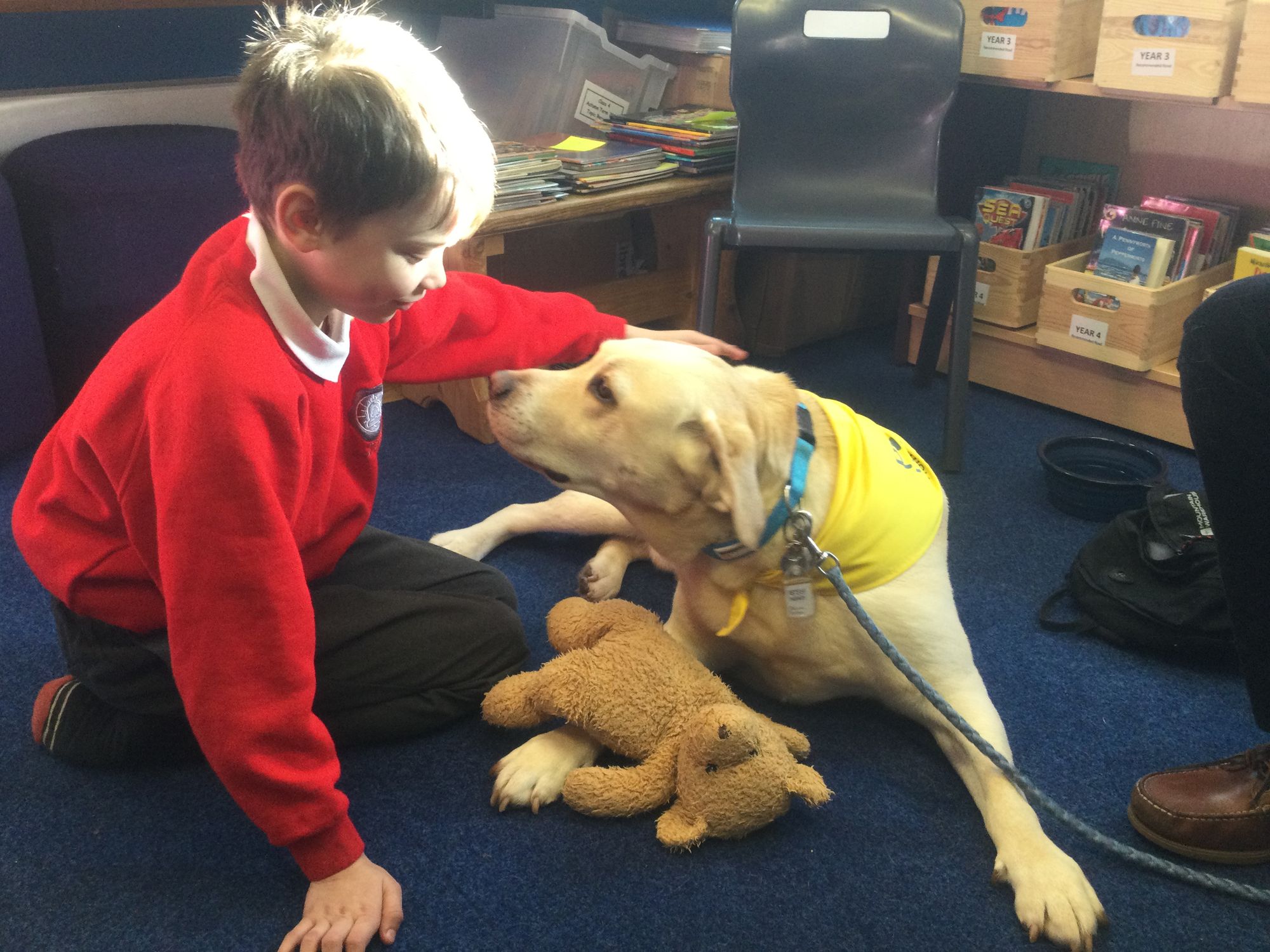 Torquay school pupils receive help with their reading from four legged friends