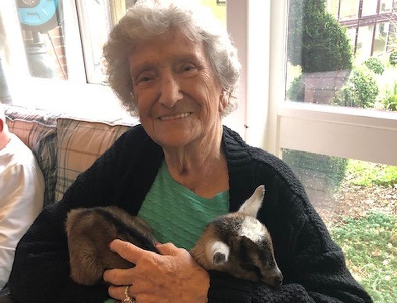 Brentwood care home residents enjoy cuddles with baby goats