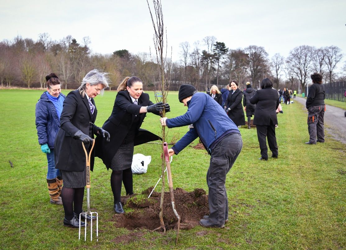 Jubilee commemorative trees planted in Burton playing fields