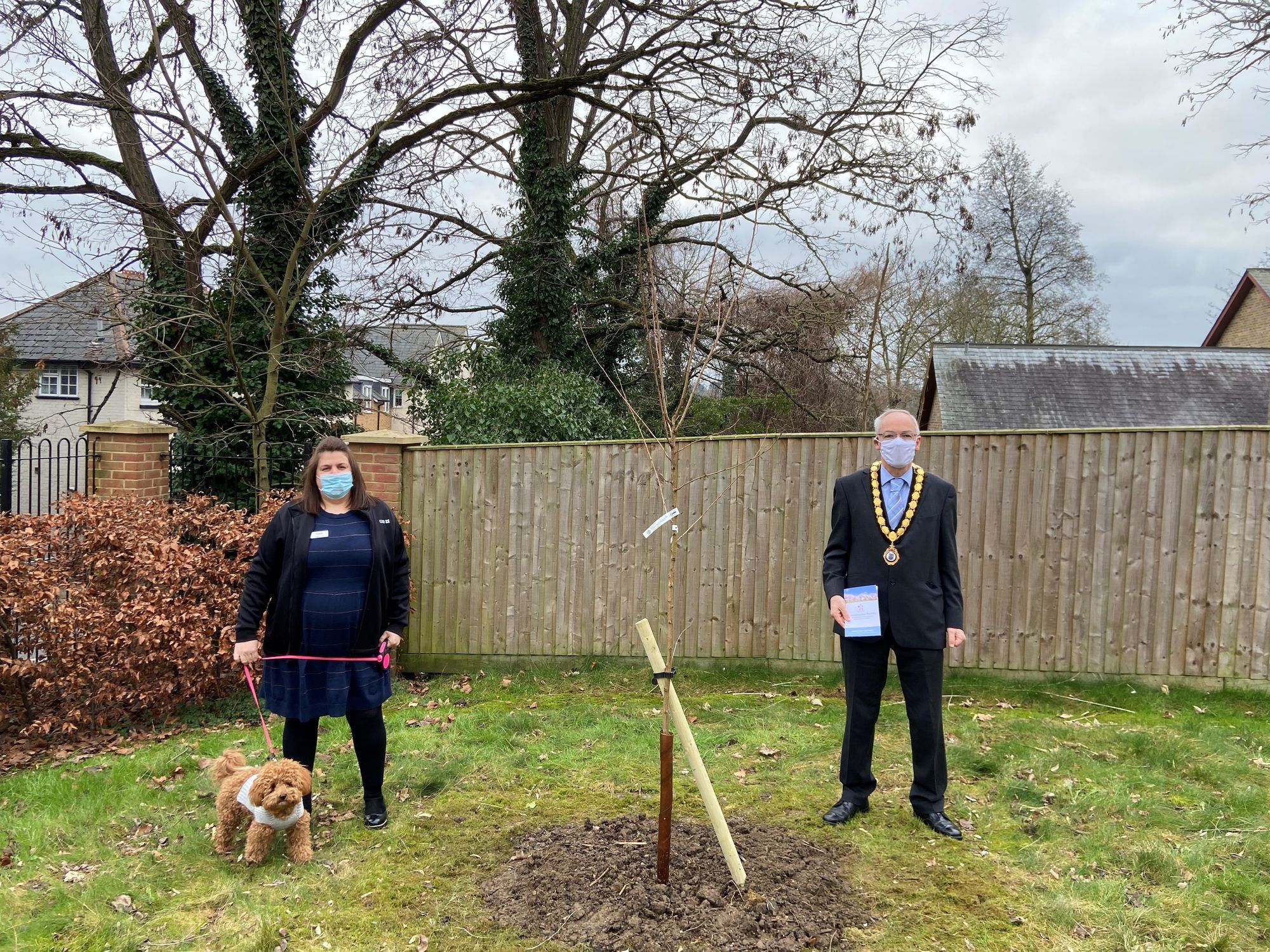 Mayor plants tree at Ware care home for 'celebration of culture'