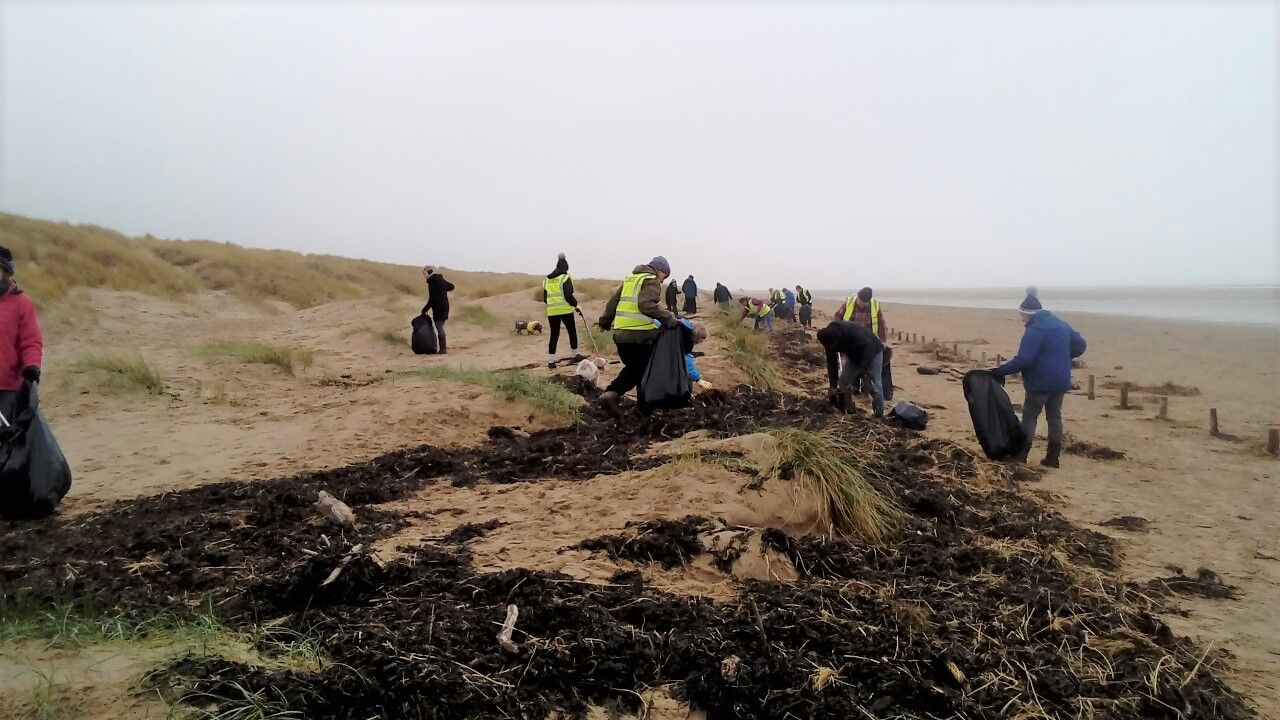 Sefton Coast column: Join the dedicated volunteers and help to clean up our beaches and coastline