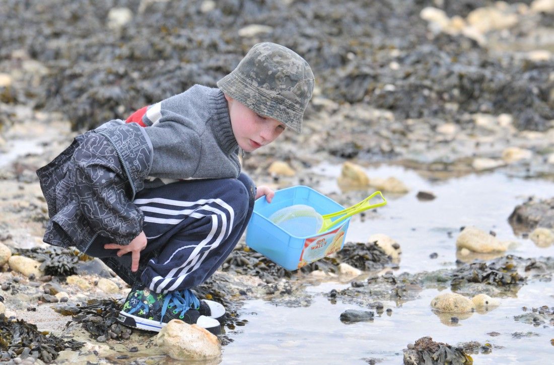 Top five things to do in Thanet this half term