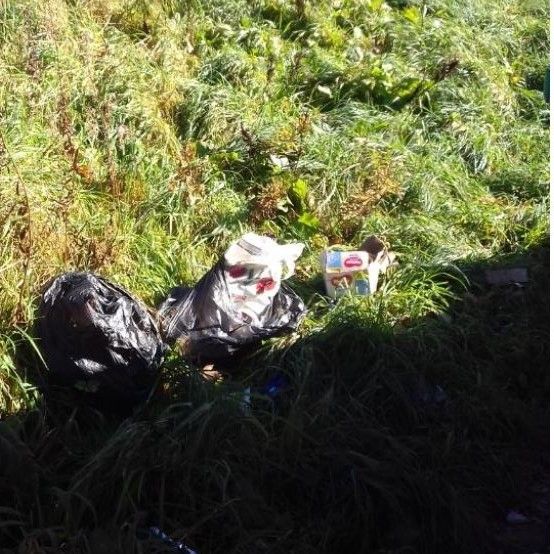 Heywood resident fined after paying someone else to take her rubbish away
