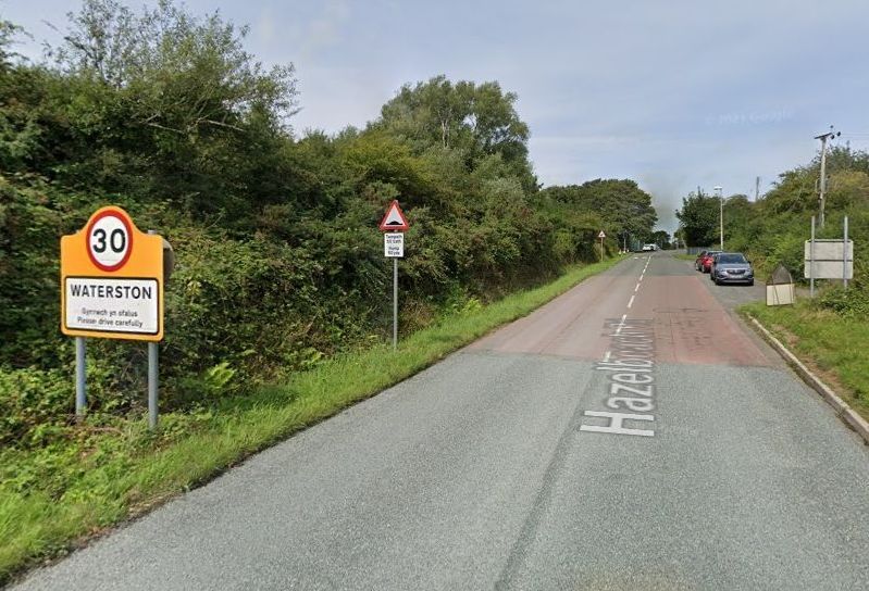 Hundreds of birds fall from the sky above Pembrokeshire village