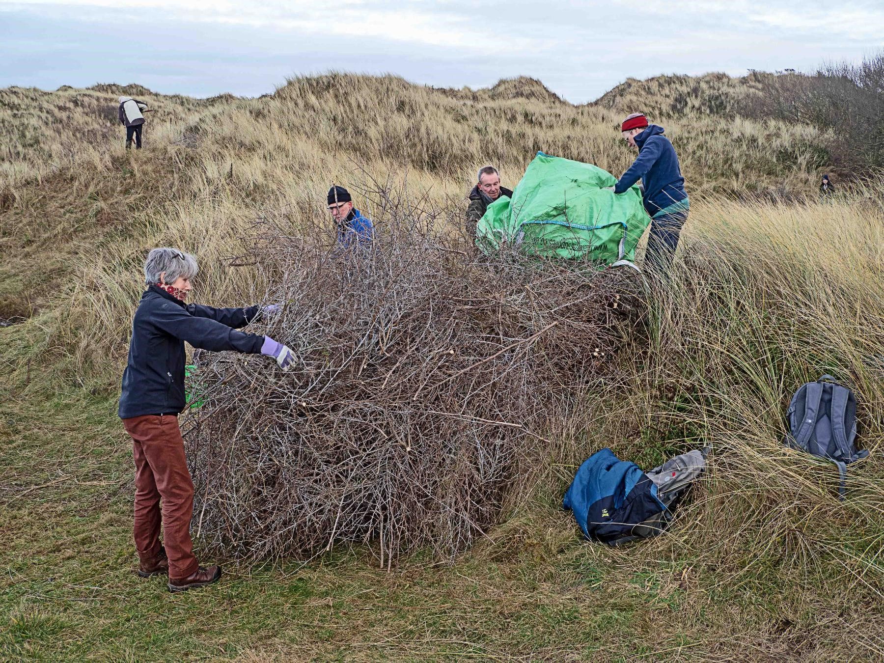 Sefton Coast column: 'It's a race against time to cut back scrub'