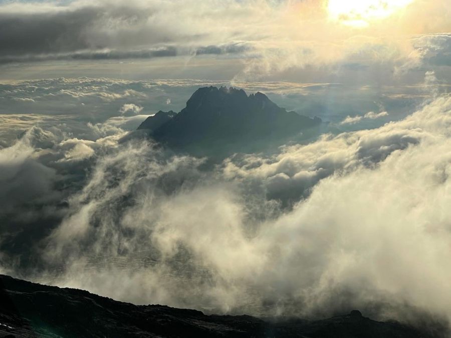 Essex man hikes Kilimanjaro to support hospice a year and a day after father died with Covid