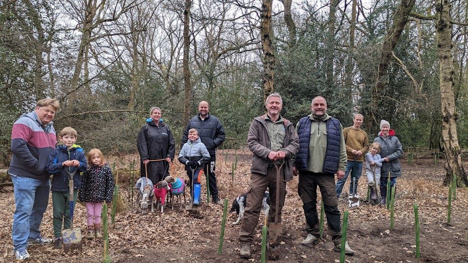 Over 50 volunteers help restore Kelvedon Hatch woodland damaged by criminal activity