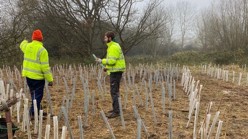 Braintree residents plant bulbs to help tackle climate change
