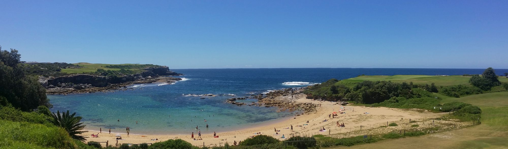 British man ‘killed in Sydney shark attack’