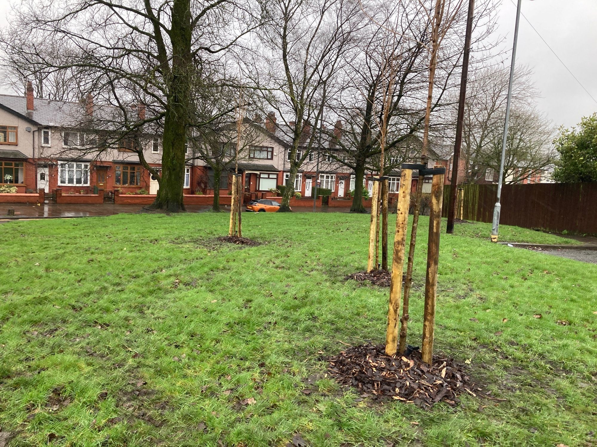 Rochdale and Heywood see 100 trees planted as part of £40k project