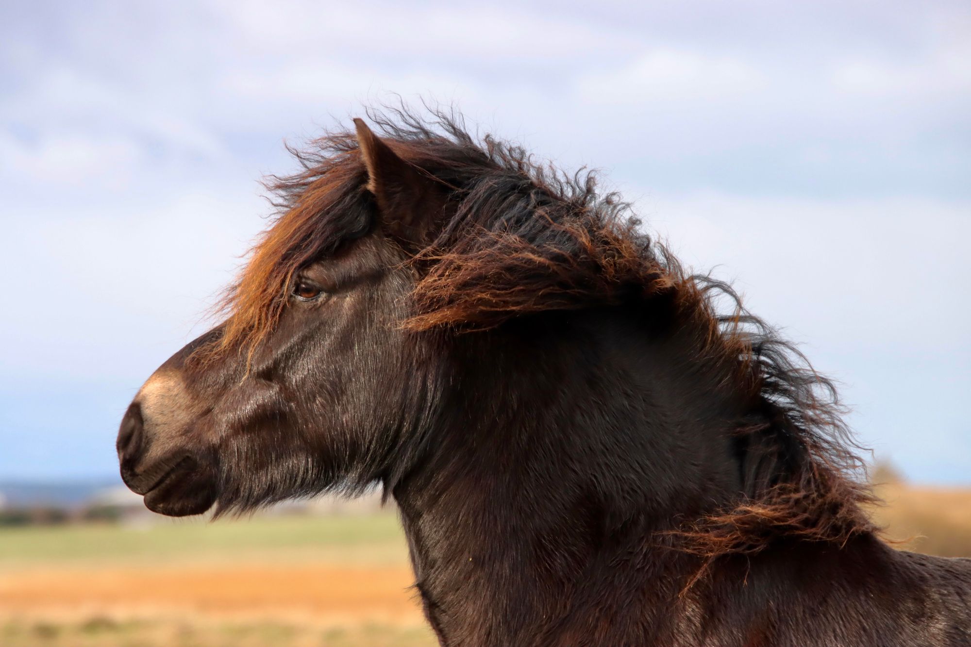 Readers photos: Animals across the North East