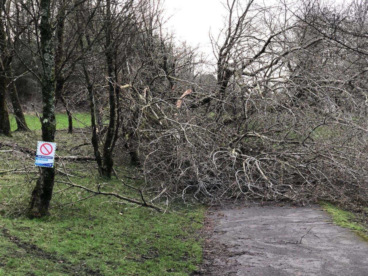 Carmarthenshire Council teams work hard to sweep up and repair after the storms