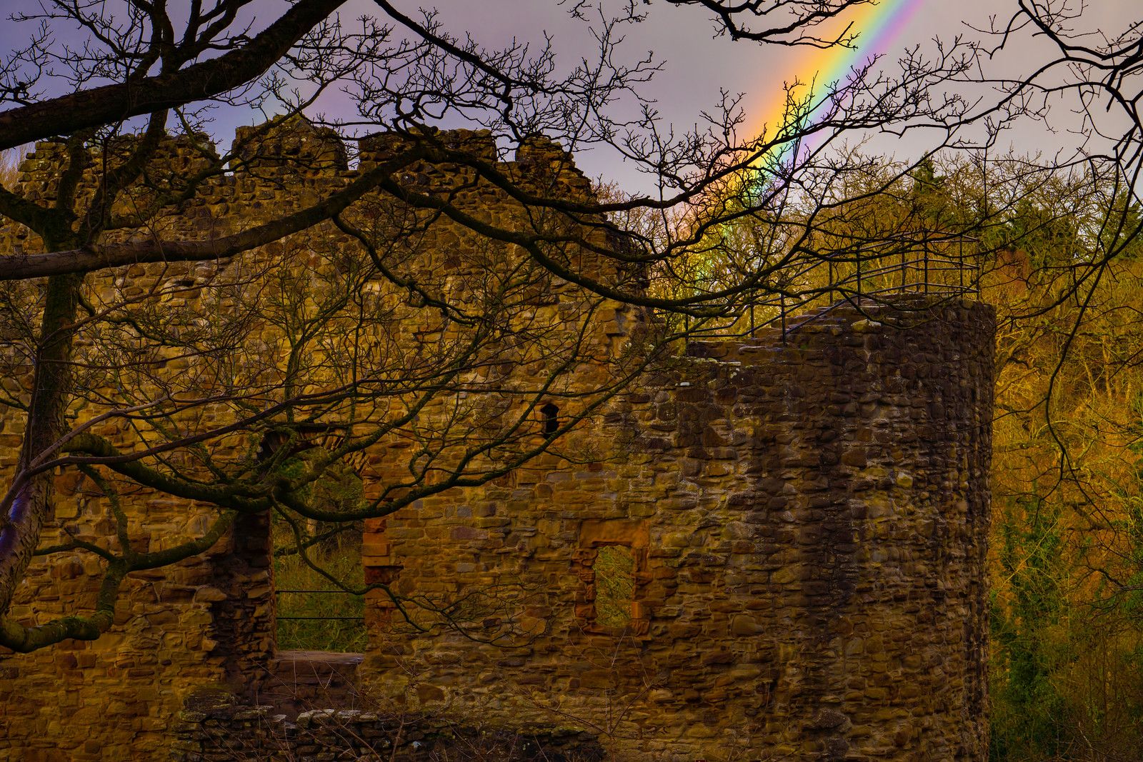 Scene By You: Pictures of Cheshire captured by local photographers