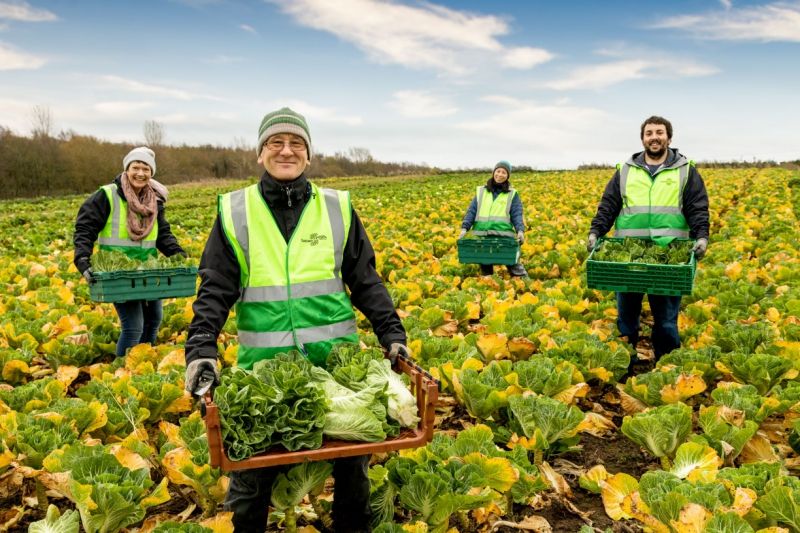 £165,000 fund launched to help Merseyside groups reduce, reuse and recycle