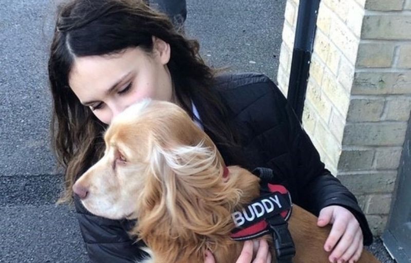 Therapy dog provides well-being support to Aveley students