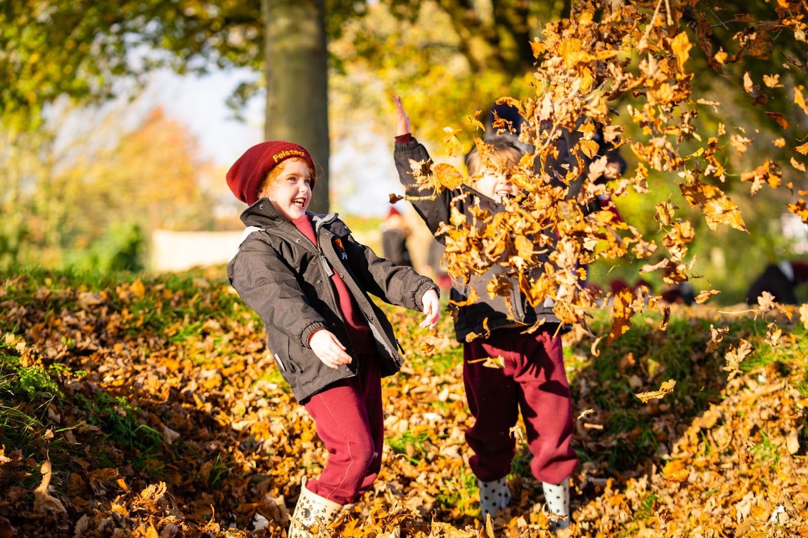 Felsted School protects trees to tackle climate change