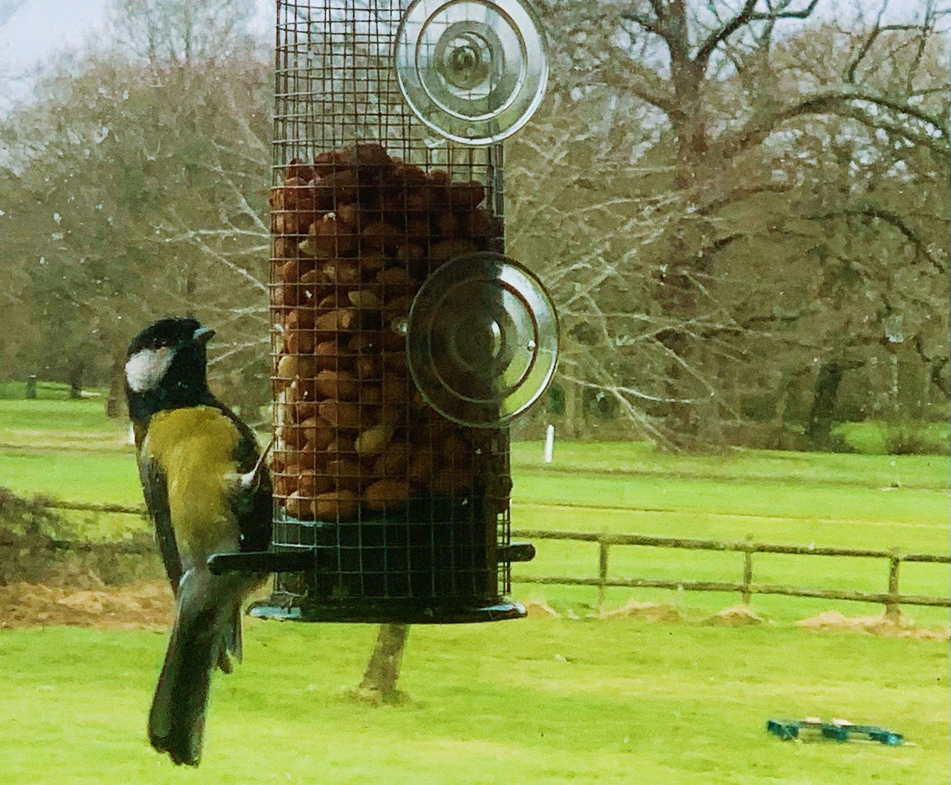 Chalfont St Peter residents got their binoculars at the ready to support the big garden birdwatch