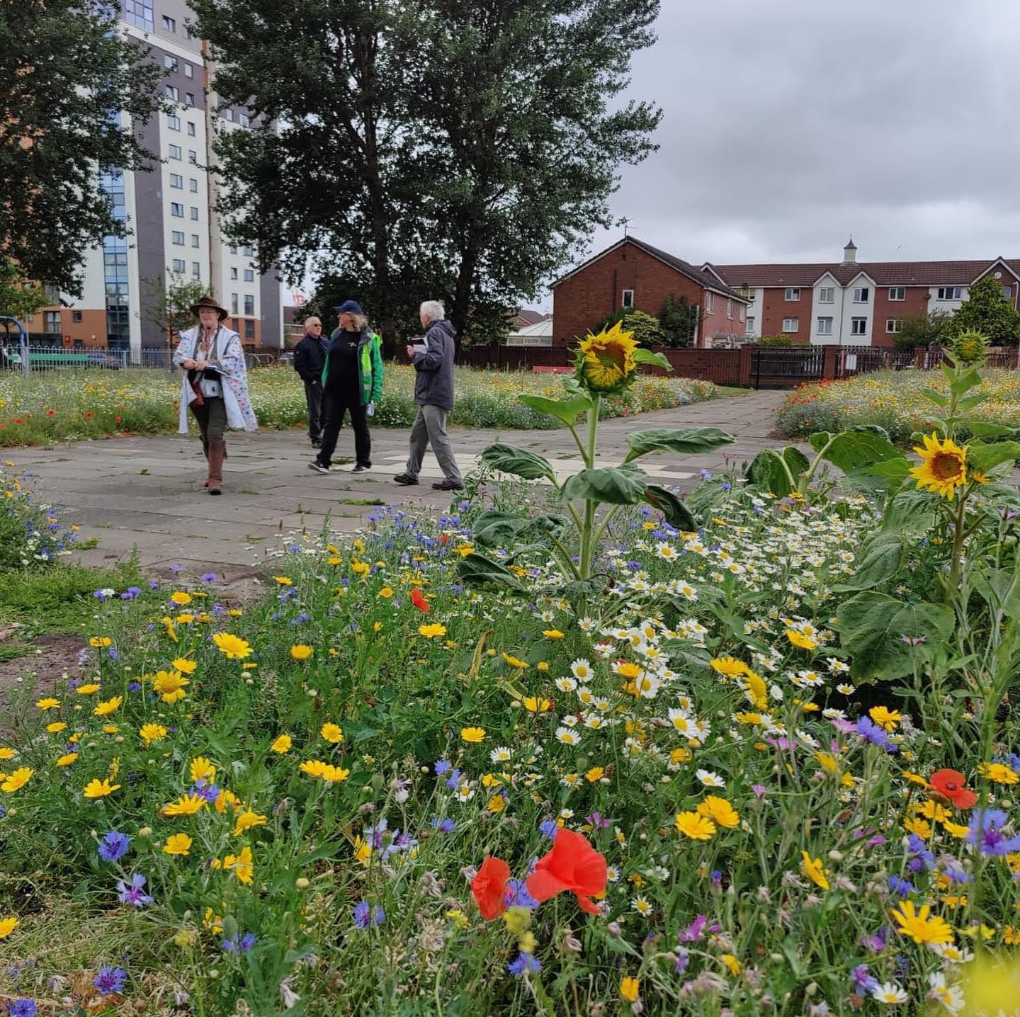 Green-fingered Sefton residents are invited to get involved in Bootle in Bloom