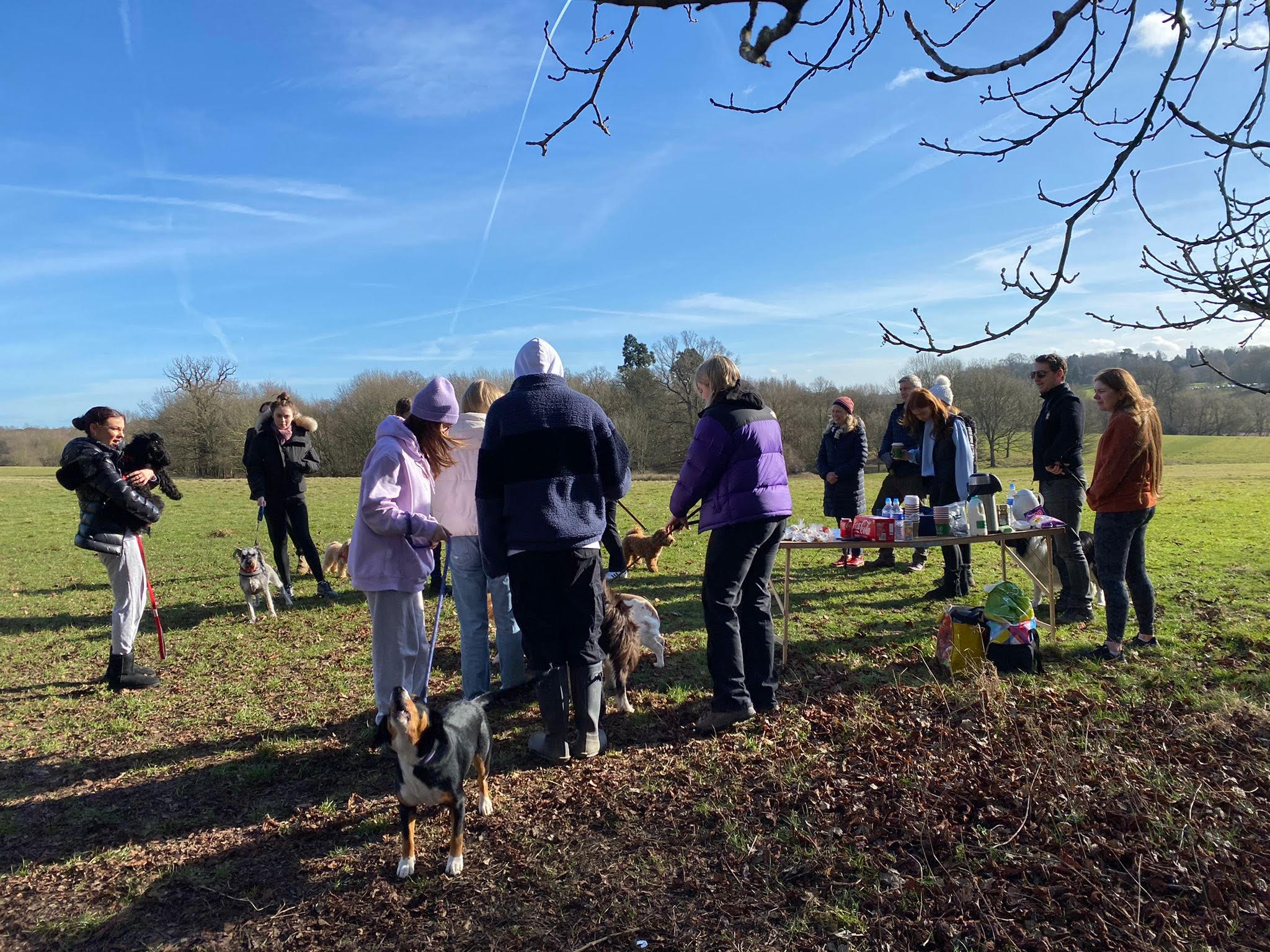 Brentwood School student organises sponsored dog walk for charity