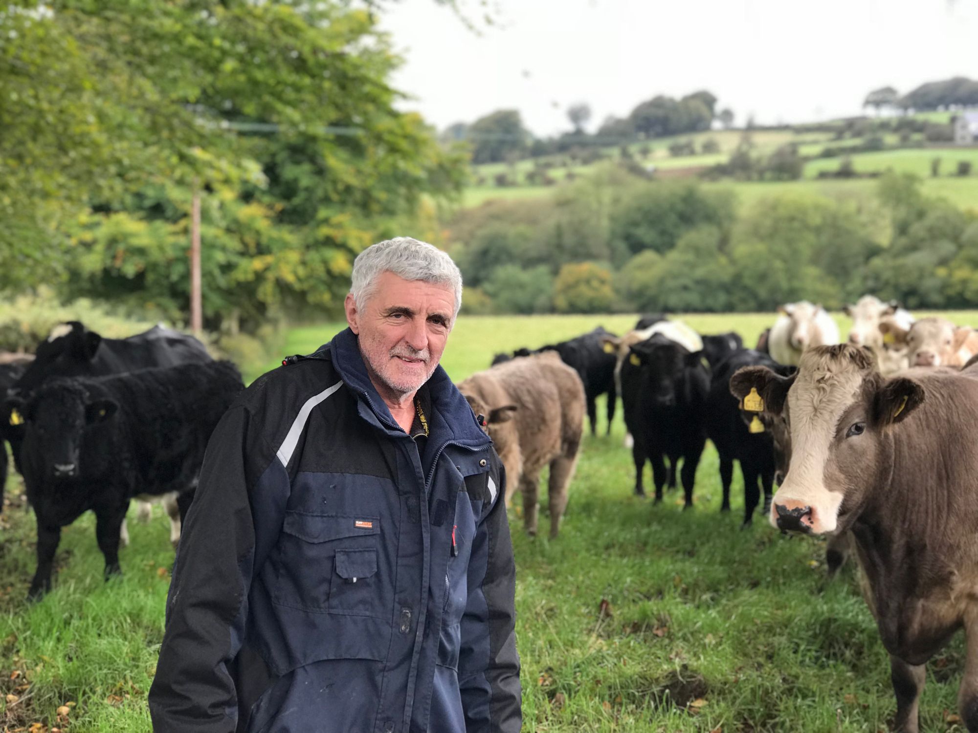 The Farmers’ Union of Wales hits out over Government proposals