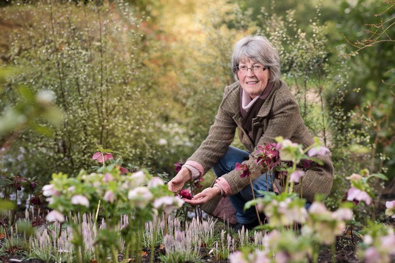 Letters to the editor: Truro mum opens beautiful garden in aid of disaster relief charity ShelterBox