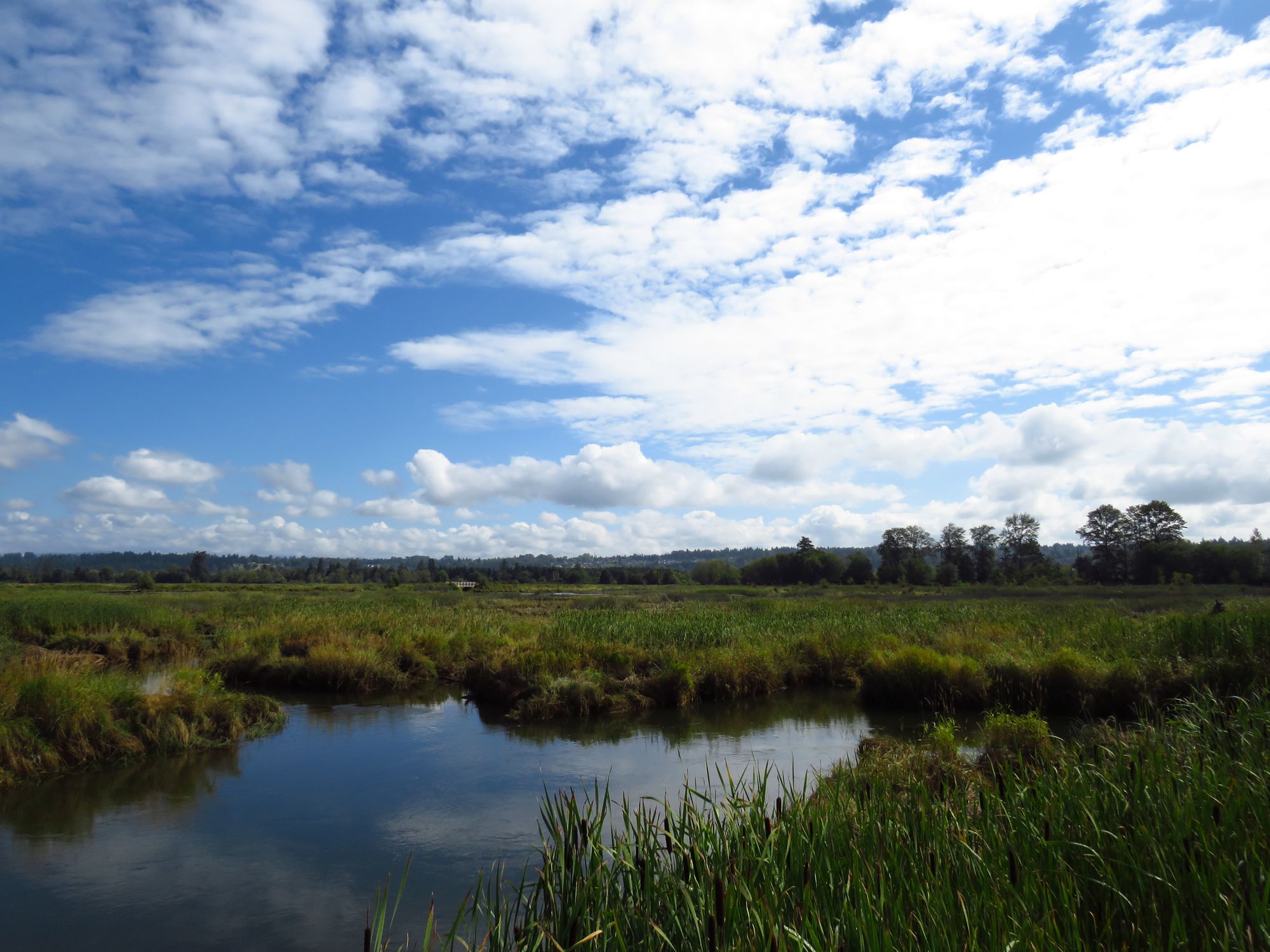 Work on new wetland in Cinderford is close to completion