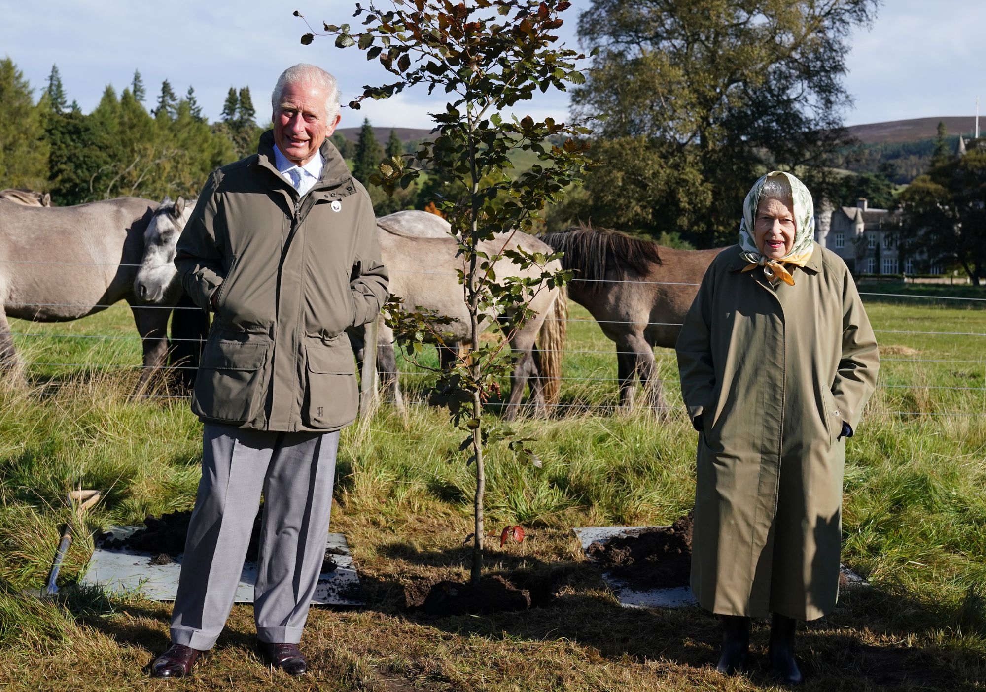 Queen ‘deeply touched’ after more than one million Jubilee trees planted