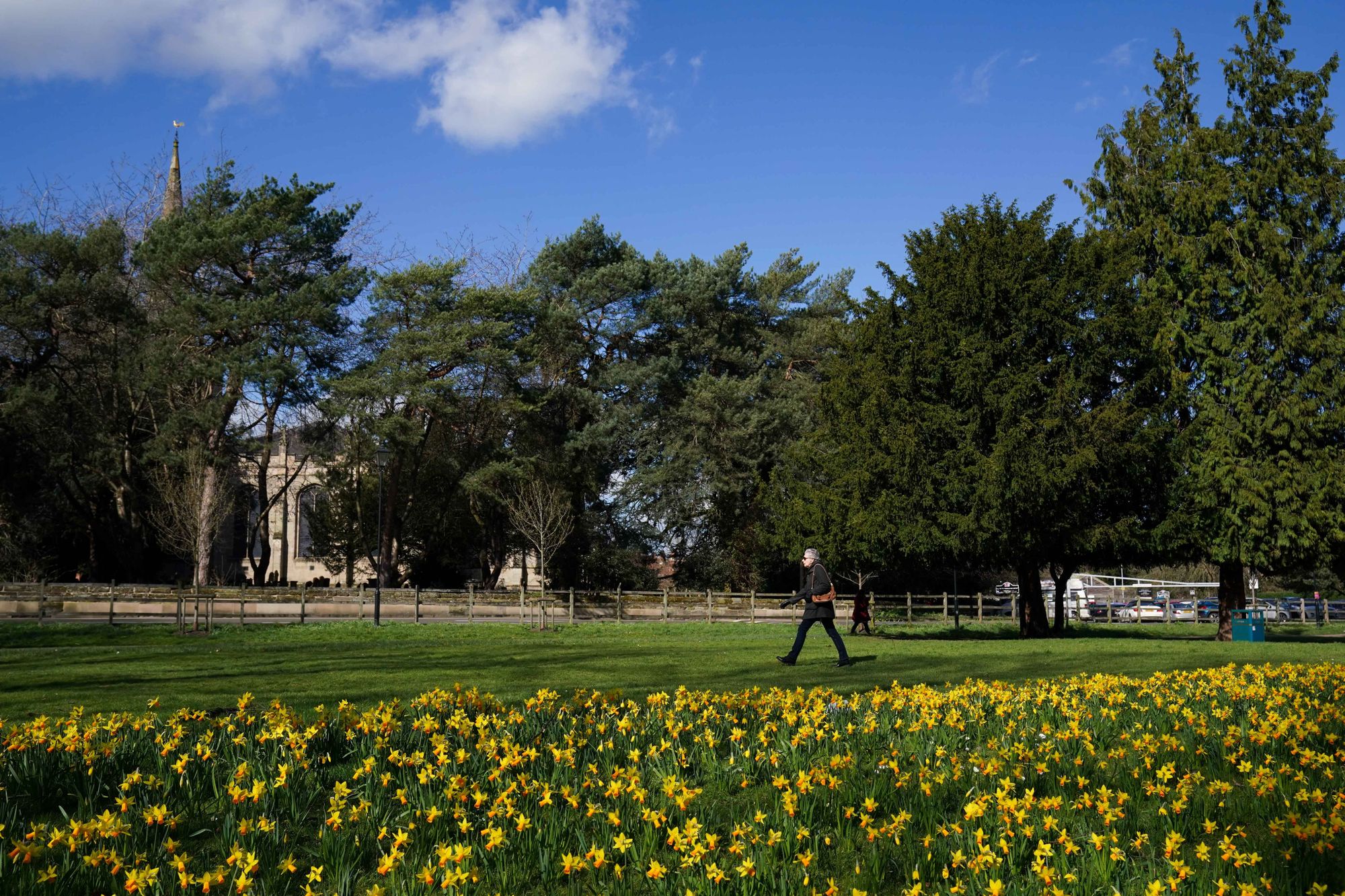 Spring sunshine expected across UK this weekend