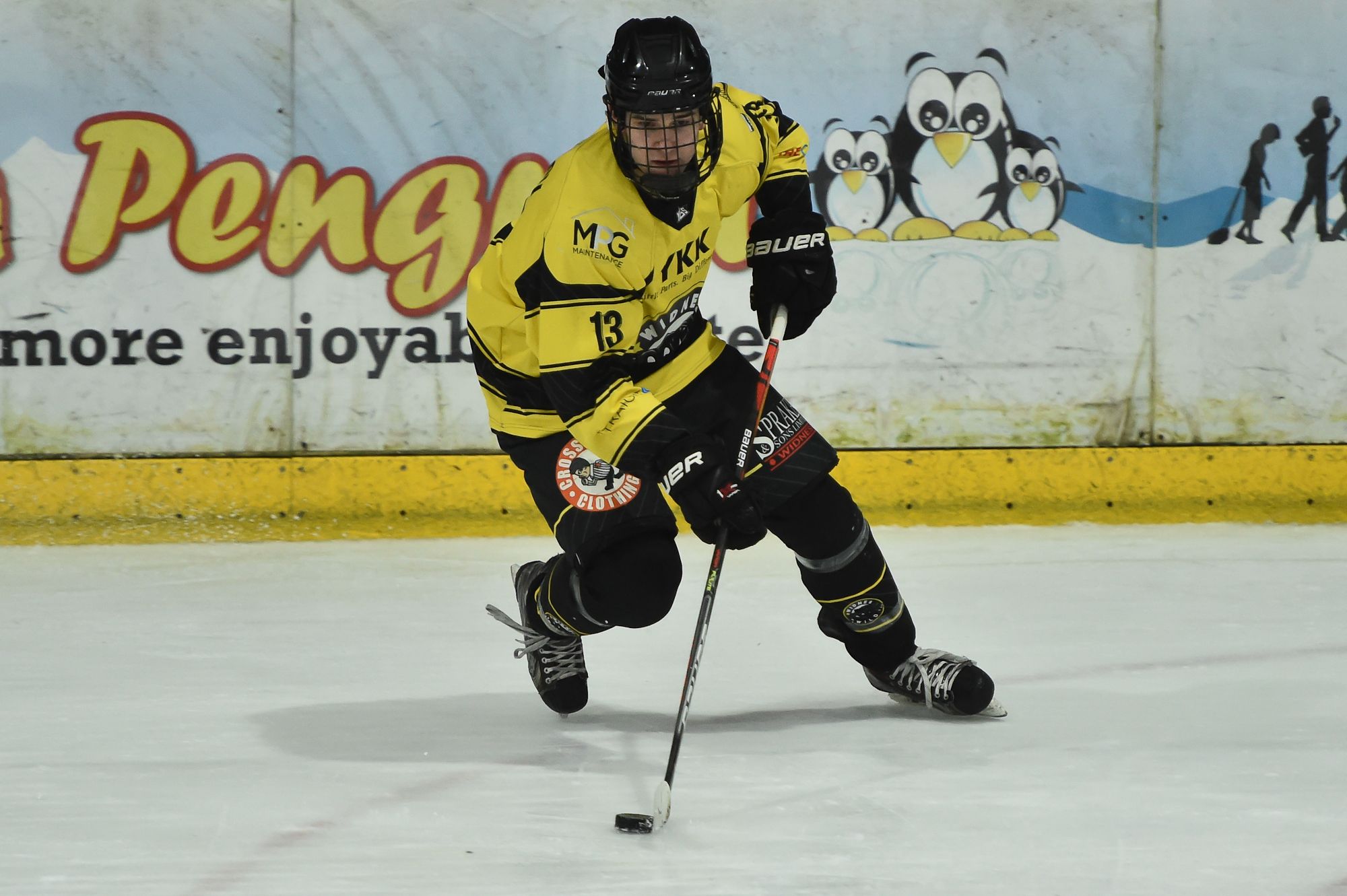 Ice Hockey: Widnes Wild mixed bag of a weekend